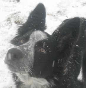 326990_354832971208455_2041254323_o