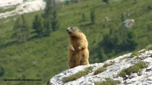 interlocutrice del brik (foto di Stefano S.)