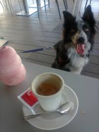 10550047_820764791281935_2976515709617797343_o