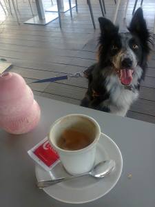 10550047_820764791281935_2976515709617797343_o