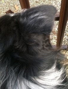 WP_20150125_11_29_13_Pro