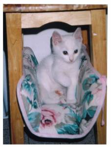 indiana jons da piccolo