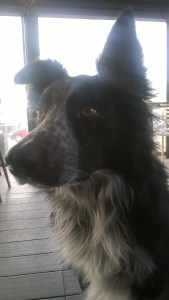 Che cosa vuol dire che vai a ritirare il Premio ma io non vengo?