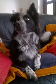 WP_20150524_16_29_27_Pro