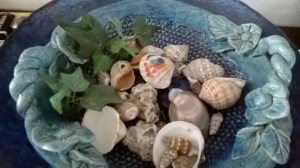 WP_20150528_13_48_56_Pro