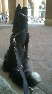 WP_20150613_15_43_59_Pro