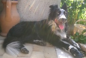 WP_20150721_10_32_10_Pro