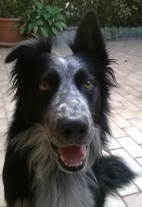 WP_20150709_20_16_12_Pro