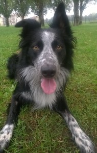 WP_20151007_08_54_27_Pro