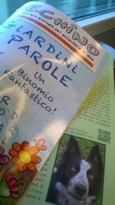 12909432_1178408702184207_2991474774919569307_o