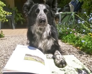 WP_20160421_12_06_34_Pro