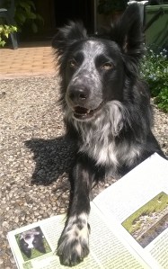 WP_20160421_12_07_24_Pro