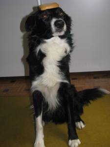 14164165_10210644494298354_148208135_o