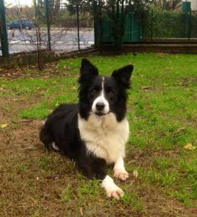 14193594_10210404580299209_1088532699_n