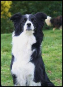 14193601_10210404551858498_539752315_n