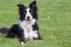 14218006_1300945623263847_495540819_n