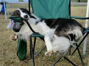 1452410_10202018008679111_2143405128_n