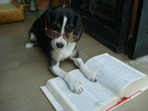 206467_1016054008943_5727_n