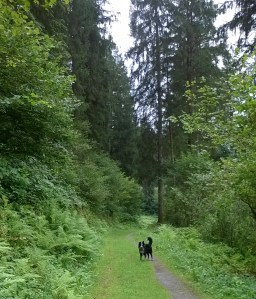 WP_20160819_12_51_50_Pro