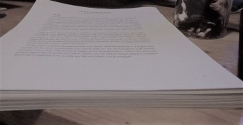 16002852_1492041067487634_717025586844957025_n