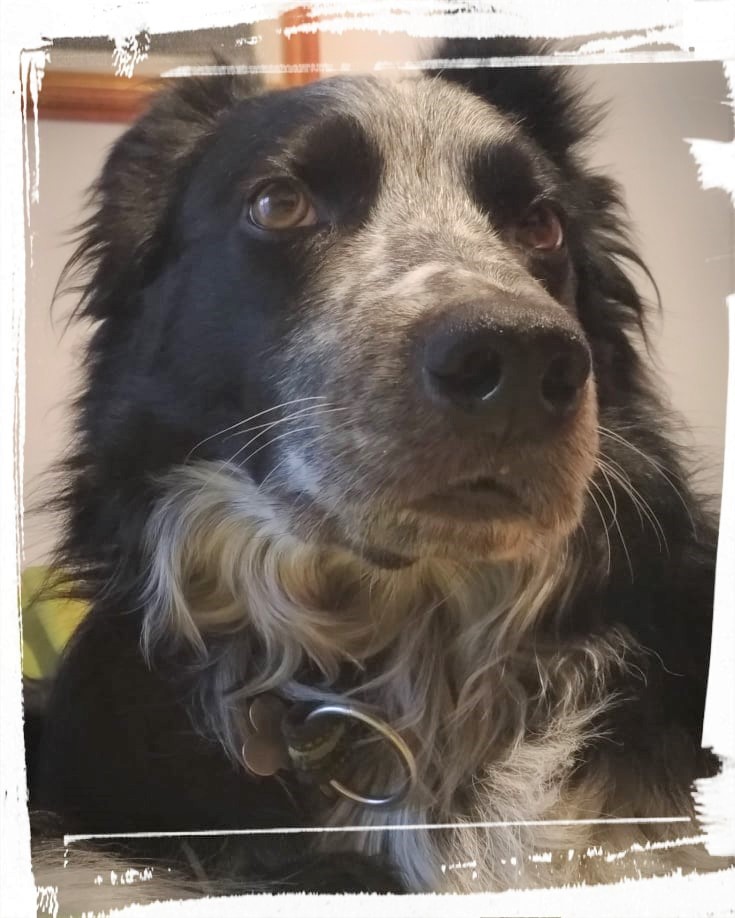 87652006_551960608760632_892730380065439744_n