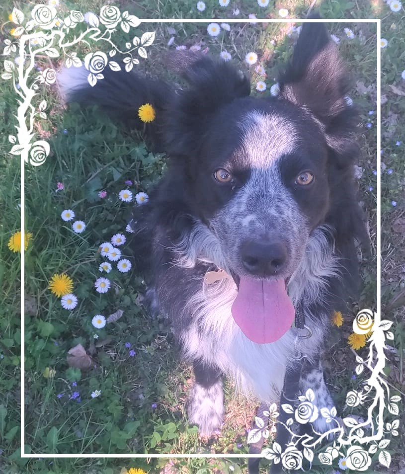 93032705_282494939407391_4235295197937795072_n