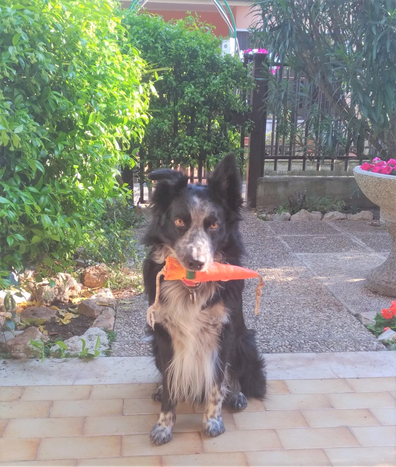 WhatsApp Image 2020-04-28 at 21.05.05